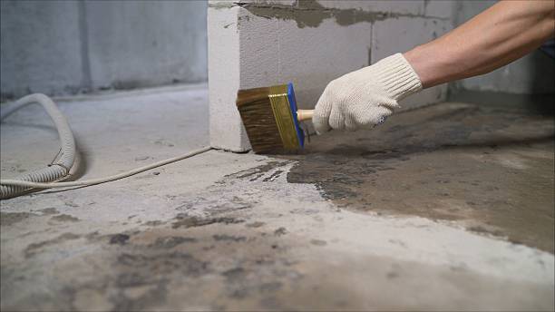 24/7 Emergency Wet Basement Repair experts in Pittsford, MI